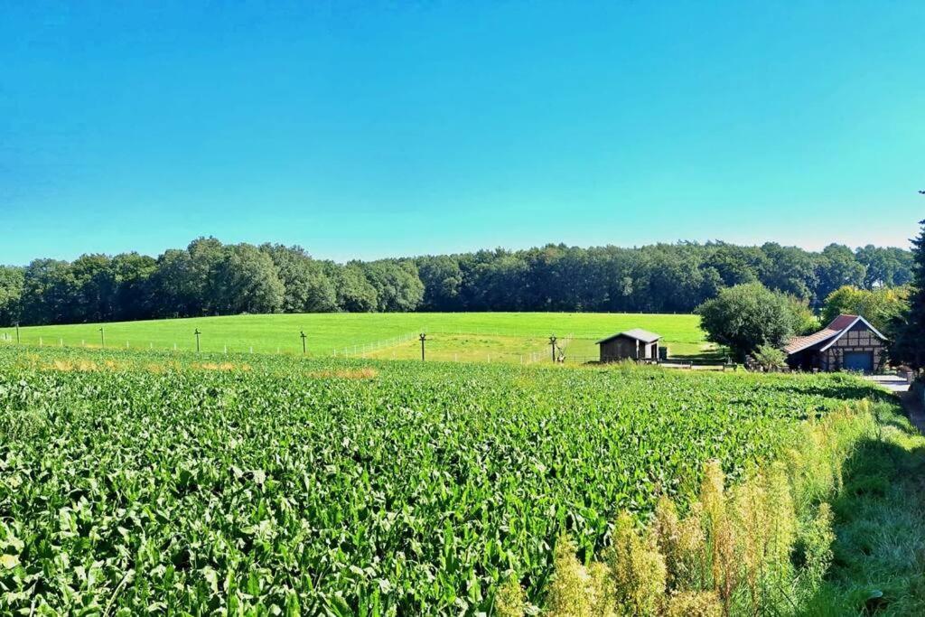 Das Bergherz Ruhe + Natur Pur Reken Exterior foto